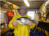 Jesse Tran of San Diego, 2.10 pound crappie caught 3-3-21 using a crappie jig in the middle of the l
