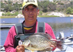 Ken Mitoma of Lake Elsinore, 3.06 pound Crappie caught 5-12-07 on White Mini Jig in Boat Dock Cove