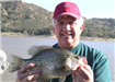 Pat Sullivan, 2.05 pound Crappie caught 2-15-10 on Lucky Craft Shad off the South Shore Rockpile