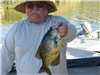Randy Eddo of Escondido, 3.50 pound crappie (Lake record) caught 2-16-16 using a rapala lure near Cr