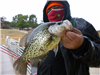Ray Villanueva of Riverside, 1.50 pound crappie caught 3-3-21 using a hook-up bait at the South Shor