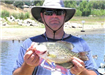 Sam Michetti of Escondido, 1.43 pound Crappie caught 7-6-08 on Crappie Lure on Senior Shoreline