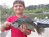 (9yo) Kaden Woods of Oceanside, 2.05 pound Crappie caught 4-5-13 using a live golden shiner at Crapp