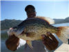 Caprece Pressley of Spring Valley, 2.00 pound crappie caught 2-17-20 using a golden shiner near the 