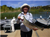 Adriana Ortiz of Encinitas, 6.50 pound trout caught 4-10-18 using a mousetail in Boat Dock Cove.