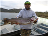 Adrien Ontiberos, 6.45 pound trout caught 1-30-16 using garlic bait in Boat Dock Cove.