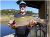 Al Waloch of Vista, 9.30 pound trout caught 3-25-19 using yellow mousetail west of Senior Shoreline.