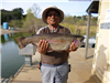 Alex Mateo of San Marcos, 8.80 pound trout caught 3-15-22 using salmon peach powerbait on Senior Sho
