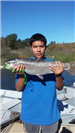 Axel Morelos of Escondido, 8.25 pound trout caught 12-27-14 using rainbow powerbait and a powerworm 