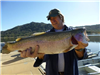 Ben Chastain of Fallbrook, 8.30 pound trout caught 12-19-14 using rainbow powerbait on Senior Shorel
