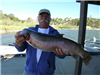 Bill Alaksin of Temecula, 10.25 pound trout caught 2-12-15 using rainbow powerbait in Boat Dock Cove