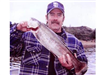 Bill Kutarnia of Escondido, 5.75 pound Trout caught 2-23-01 on Yellow Powerbait at Senior Shoreline