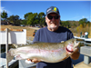 Curt Caspersen of Escondido, 6.80 pound trout caught 1-24-16 using yellow powerbait on Senior Shorel