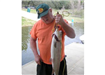 Dennis Ehlert of Escondido, 9.90 pound Trout caught 3-3-11 on Green Powerbait on Senior Shoreline