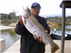 Doug Bargo of Point Loma, 5.70 pound trout caught 2-27-23 using chartreuse powerbait in Willow Cove