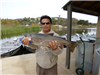 Dova Lee of Mira Mesa, 9.15 pound trout caught 12-15-14 using a trout magnet in Willow Cove.