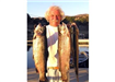 Ed Heinrichson of Oceanside, Stringer of 3 Rainbow Trout (9.62 pound, 8.50 pound and 7.87 pound) cau
