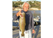 Edward Heinrichson of Oceanside, 6.43 pound Trout caught 1-15-08 on Green Powerbait in Boat Dock Cov