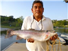 Felix Lopez of Escondido, 6.25 pound Trout caught 4-7-13 using pink powerbait on Senior Shorleine