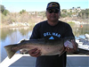 Frank Duenas of Escondido 7.35 pound Trout caught 2-17-12 on Nightcrawler on Senior Shoreline