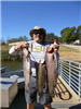 Henry Vidana of Lake Elsinore,, 18.00 pound stringer of 5 caught 2-11-16 using mousetails and kastma