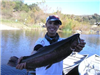 Jason Casison of Poway, 5.90 pound Trout caught 12-8-12 on a mini-jig in Boat Dock Cove.