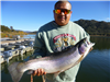 Javier Ramirez of Escondido, 10.80 pound trout caught 12-26-18 using rainbow powerbait west of Senio