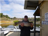 Jeff Greer of Escondido, 9.60 pound trout caught 2-9-14 using a nightcrawler on Senior shoreline.
