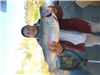 Jesse Tran of San Diego, 7.30 pound trout caught 12-10-22 using a mini-jig in Boat Dock Cove.