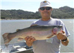 Joe Martinez of Oceanside, 7.80 pound Trout caught 3-5-11 on Dropshot with Roboworm at West Buoys
