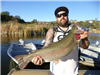 Joey Goswick of Escondido, 10.40 pound trout caught 2-9-16 using a kastmaster in Boat Dock Cove.