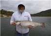 John Donaldson, 9.55 pound trout caught 2-26-14 using a thomas buoyant lure in Boat Dock cove.