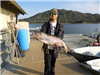 John Hansen of Oceanside, 11.15 pound trout caught 1-8-15 using gold Thomas Buoyant at West Buoy Lin