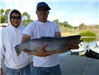 John Nguyen of Mira Mesa, 11.25 Trout caught 1-29-14 using a jig in Boat Dock Cove
