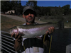 Jose Flores of Escondido, 5.50 pound Trout caught 12-9-12 on powerbait in Boat Dock Cove.