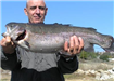 Ken Frattini of Vista, 11.18 pound Trout caught 12-17-07 on Green Power Worm in Boat Dock Cove