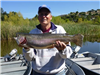 Ken Manell of Escondido, 6.40 pound trout caught 4-4-17 using sherbet powerbait in Oakvale Cove.