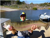 Lake Record Phanomvanh Khounborin of San Marcos, 16.95 pound Trout caught 3-10-13 using a nightcrawl