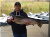 Michael Chang of San Diego, 12.75 pound trout caught 1-10-17 using a jig in Oakvale Cove.