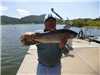 Mike Sicard of Riverside, 6.05 pound trout caught 4-14-16 using green powerbait in Oakvale Cove.