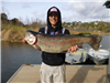 Nathan Femple of Santo, 11.30 pound trout caught 2-13-21 using a mini-jig at the east end of the lak