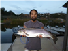 Randy Chuon of Santee, 6.20 pound trout caught 1-7-15 using a kastmaster with a worm in Willow Cove.