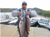 Richard Dexter of Imperial beach, 6.60 pound trout caught 12-9-17 using a mousetail at the East Buoy