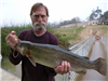 Robert Farris of Bonsall, 7.40 pound trout caught 3-2-19 using a yellow poweregg on Senior Shoreline