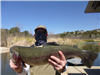 Roy Duncan of Escondido, 7.00 pound trout caught 3-24-21 using a micetail in Boat Dock Cove