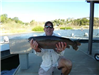 Roy Duncan of Escondido, 8.10 pound Trout caught 1-15-14 using white powerworm in Boat Dock Cove.