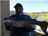 Roy Tornello of Carlsbad, 7.50 pound trout caught 3-31-17 using powerbait nightcrawler combo in Boat
