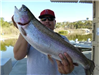 Rudy Baay of Escondido, 7.40 pound trout caught 2-17-13 using powerbait in Boat Dock Cove