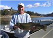 Scott Passafume of Temecula, 9.00 pound Trout caught 12-06 on Green Powerbait in Boat Dock Cove