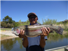 Teo Zabala of Lakewood, 8.40 pound rout caught 4-8-21 using a red paddle tail west of Senior Shoreli